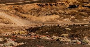 足球西甲主帅临场调整收获成效